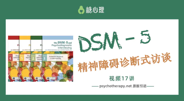 糖心理：咨询师刚需课第二期DSM-5精神障碍诊断式访谈（完整17讲 ）