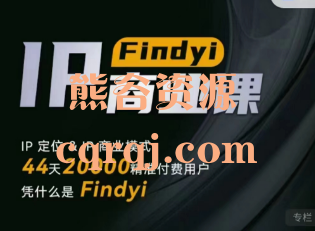 findyi商业IP课，洋哥商业IP实操课