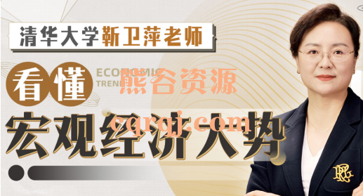 清华大学靳卫萍看懂宏观经济大势，25节视频课程