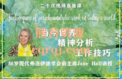 当今世界精神分析工作技巧，86岁现代弗洛伊德学会前主席Jane Hall讲授，二十次视频直播课