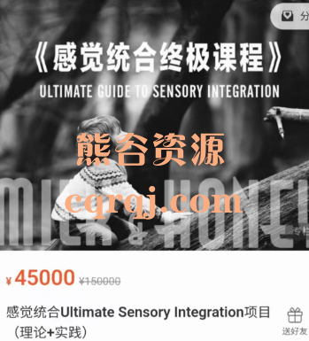 感觉统合Ultimate Sensory Integration项目(理论+实践)感觉统合终极课程