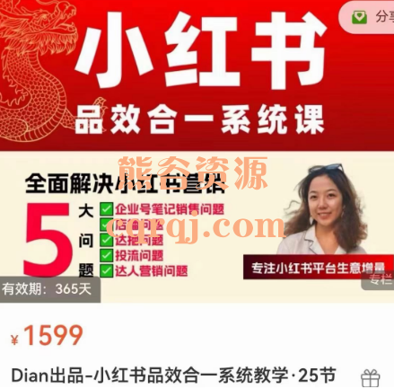 ​Dian出品：迪安小红书品效合一系统教学课程