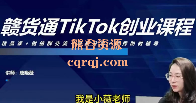 ​赣货通TikTok创业课堂TikTok副业课，唐晓薇课程