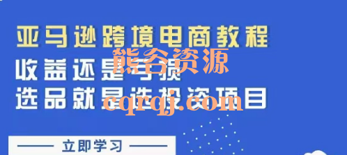 亚马逊跨境电商教程视频课程选品就是选投资项目