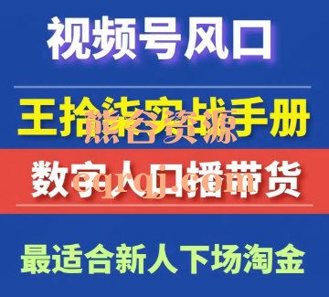 ​王拾柒视频号AI数字人口播带货课程