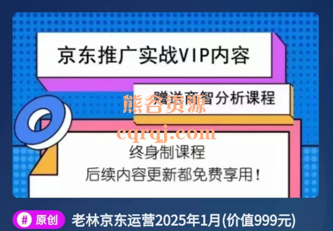 老林京东运营2025年VIP课程，京东推广实战VIP内容